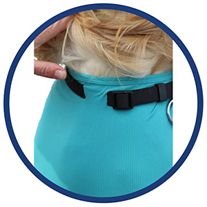 Hund System Body mit Beinen + Reißverschluss + Zusatzfunktion Tasche | Hund Body - Ganzkörperbody mit 4 Beinen | VetMedCare® 32 Halsband Einschnitt am Body