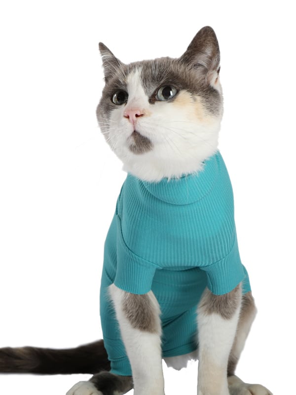 VetMedCare Katzen Body