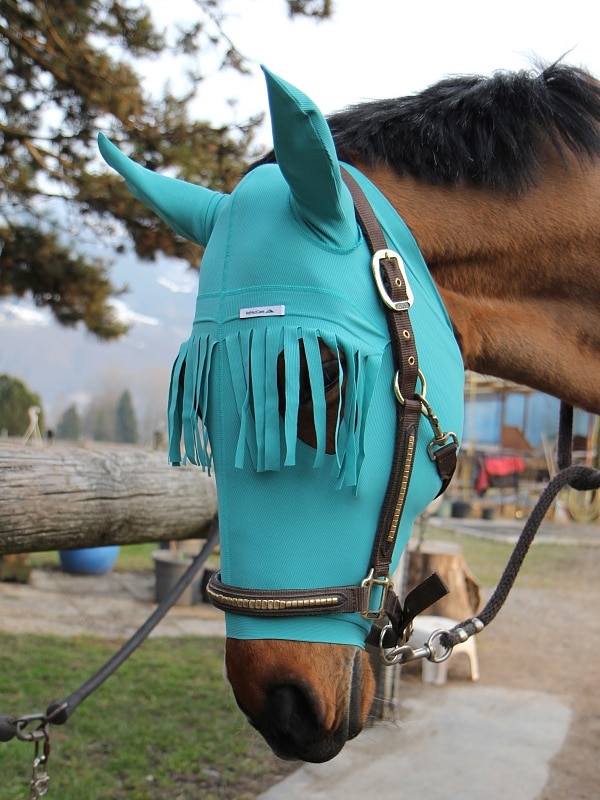 VetMedCare Pferde Body