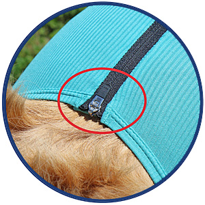 Hund System Body mit Beinen + Reißverschluss + Zusatzfunktion Tasche | Hund Body - Ganzkörperbody mit 4 Beinen | VetMedCare® 22 Reissverschluss Detail Body