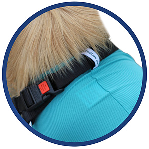 Katzenbody + Wundschutz speziell für Katzen entwickelt | VetMedCare® Cat Bodysuit 21 Schlaufe für Halsband am Body