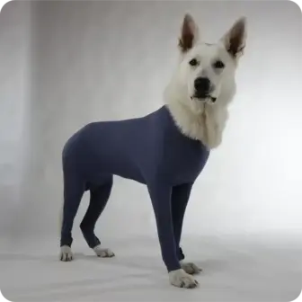 Hunde