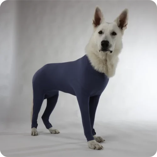 Hunde