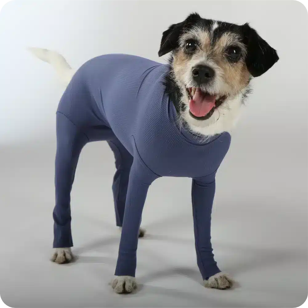 Hundebody für Hündin mit Läufen | Ganzkörperbody speziell für die Hündin | VetMedCare®