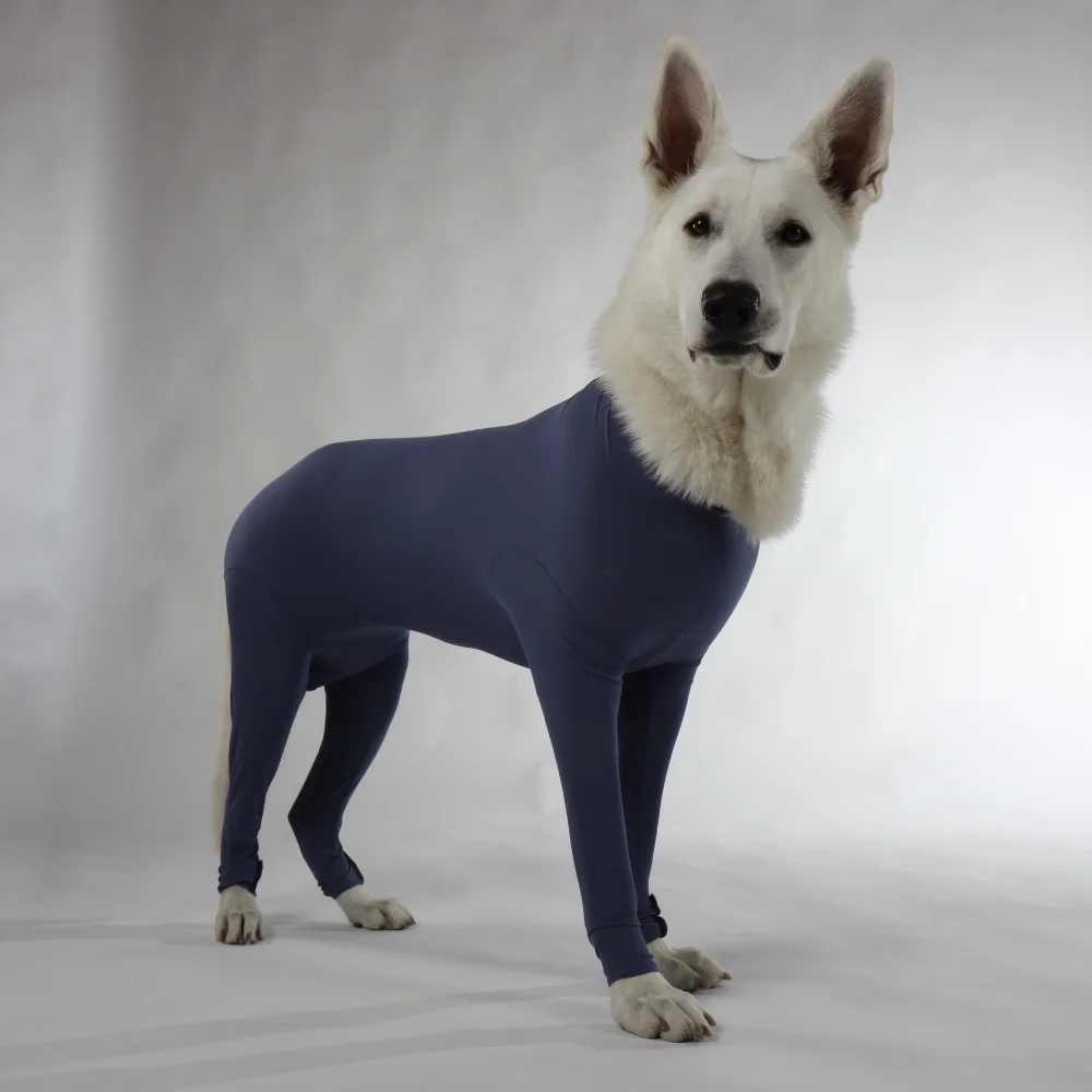 Hundebody für Hündin mit Läufen | Ganzkörperbody speziell für die Hündin | VetMedCare®