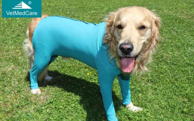 Hunde Body mit Läufen und Reißverschluss