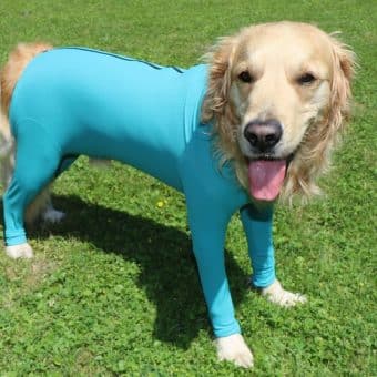 VetMedCare Hundebody mit Reißverschluss und vier Läufen
