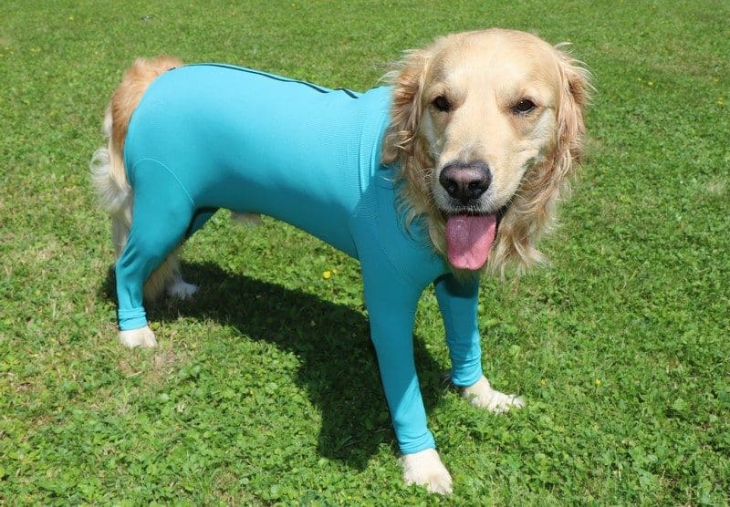VetMedCare Hundebody mit Reißverschluss und vier Läufen