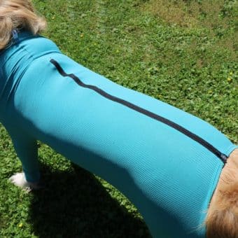 VetMedCare Hundebody mit Reißverschluss und vier Läufen