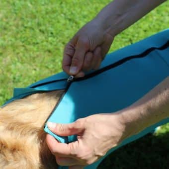 VetMedCare Hundebody mit Reißverschluss und vier Läufen