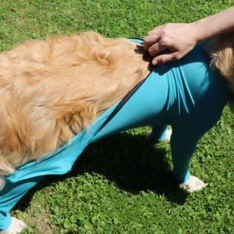 VetMedCare Hundebody mit Reißverschluss und vier Läufen