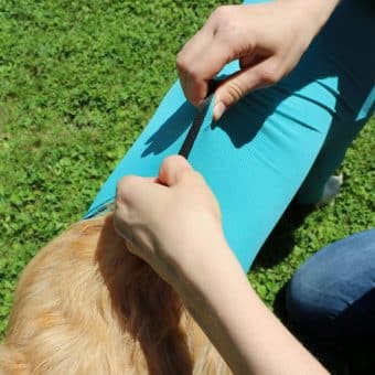 VetMedCare Hundebody mit Reißverschluss und vier Läufen