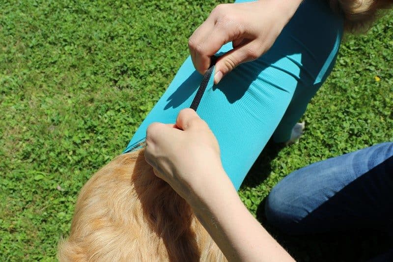 VetMedCare Hundebody mit Reißverschluss und vier Läufen