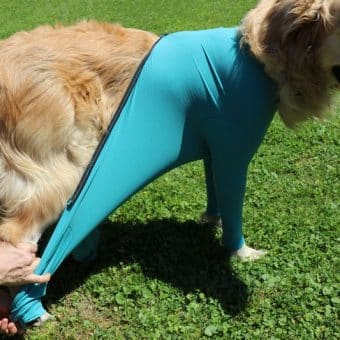 VetMedCare Hundebody mit Reißverschluss und vier Läufen