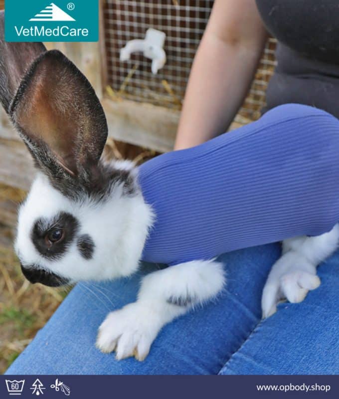 safety tube hase