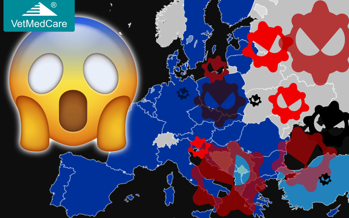 Kundenfrage: Sind Bestellungen trotz CORONA / CORONAVIRUS bzw. CORONA VIRUS Krise im Online Shop möglich? 1 Shop Versand Corona Virus mit DPD