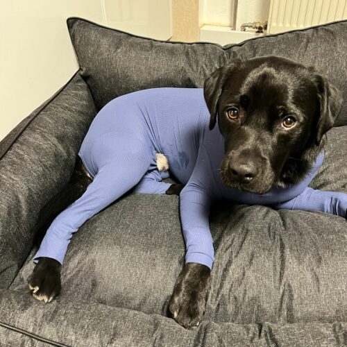 41831583 125763260 22648b6c 1ebd 48f0 9b30 c829ee410b17