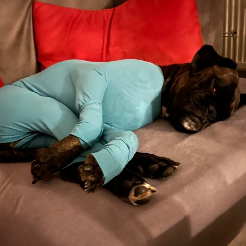 41831591 125763278 1f552946 6f44 48a1 b541 a4d06476c9c2