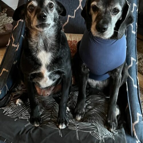 42429110 127541310 0285c752 4f06 4b80 9d08 c3416f3645f3