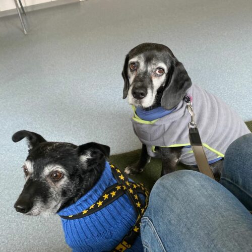 42429110 127541310 2a8a30bc c43d 4897 8299 0f58aa1e6d31