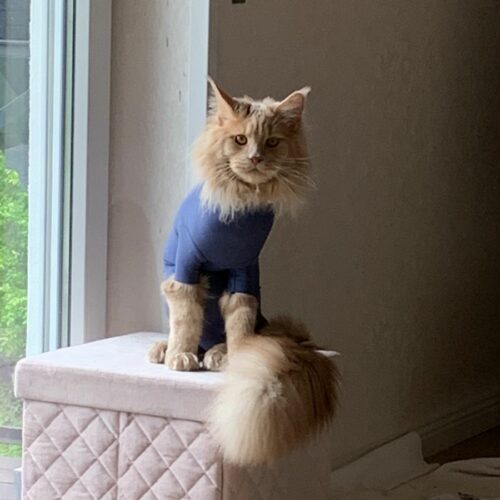 6566699 16047842 d8b6d3e2 fce4 4376 bedf d95a5a110c71