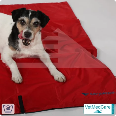 Animal Pad | stark isolierende Hundedecke Rot/Schwarz - auch für das Hundebett und Auto | VetMedCare® 20 Animal Pad | stark isolierende Hundedecke Rot/Schwarz - auch für das Hundebett und Auto | VetMedCare®