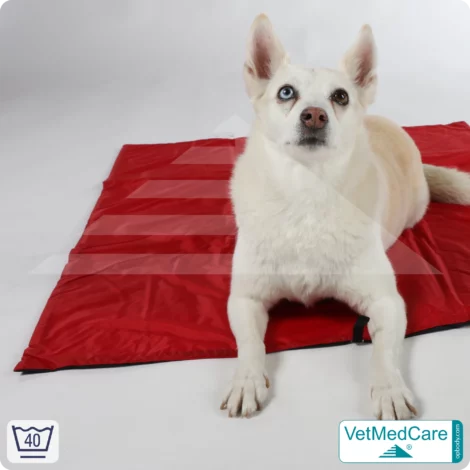 Animal Pad | stark isolierende Hundedecke Rot/Schwarz - auch für das Hundebett und Auto | VetMedCare® 14 Animal Pad | stark isolierende Hundedecke Rot/Schwarz - auch für das Hundebett und Auto | VetMedCare®