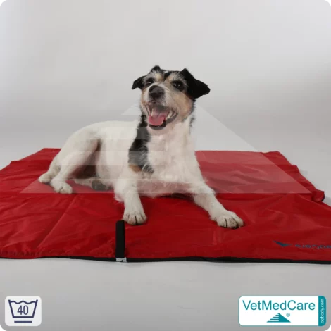 Animal Pad | stark isolierende Hundedecke Rot/Schwarz - auch für das Hundebett und Auto | VetMedCare® 16 Animal Pad | stark isolierende Hundedecke Rot/Schwarz - auch für das Hundebett und Auto | VetMedCare®