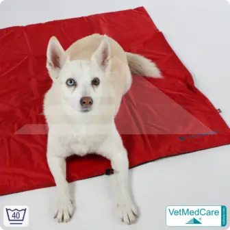 Animal Pad | stark isolierende Hundedecke Rot/Schwarz - auch für das Hundebett und Auto | VetMedCare® 19 Animal Pad | stark isolierende Hundedecke Rot/Schwarz - auch für das Hundebett und Auto | VetMedCare®