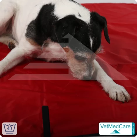 Animal Pad | stark isolierende Hundedecke Rot/Schwarz - auch für das Hundebett und Auto | VetMedCare® 17 Animal Pad | stark isolierende Hundedecke Rot/Schwarz - auch für das Hundebett und Auto | VetMedCare®