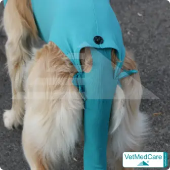 Druckknöpfe Set | schwarz oder transparent | VetMedCare® 10 Druckknöpfe Set | schwarz | VetMedCare®