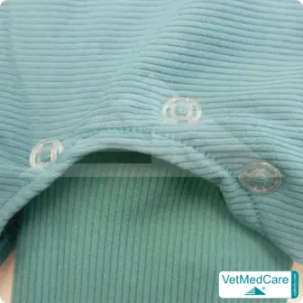 Druckknöpfe Set | schwarz oder transparent | VetMedCare® 15 Druckknöpfe Set | transparent | VetMedCare®