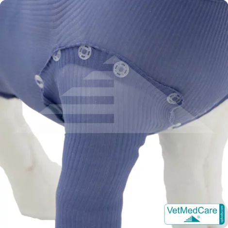 Druckknöpfe Set | transparent | VetMedCare®