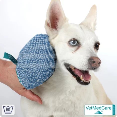 Fellpflegehandschuh & Hundebürste | Fellpflege von Hund, Katze, Pferd und kurzhaariger Kleintiere | Grooming Glove | VetMedCare® 11 Handschuh als Hundebürste zur Fellpflege von Hund, Katze, Pferd und kurzhaariger Kleintiere | Grooming Glove | VetMedCare®