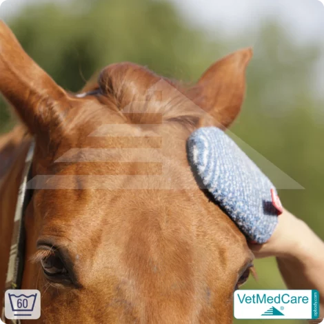 Fellpflegehandschuh & Hundebürste | Fellpflege von Hund, Katze, Pferd und kurzhaariger Kleintiere | Grooming Glove | VetMedCare® 16 Handschuh als Hundebürste zur Fellpflege von Hund, Katze, Pferd und kurzhaariger Kleintiere | Grooming Glove | VetMedCare®