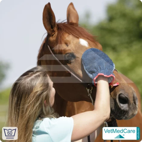 Fellpflegehandschuh & Hundebürste | Fellpflege von Hund, Katze, Pferd und kurzhaariger Kleintiere | Grooming Glove | VetMedCare® 13 Handschuh als Hundebürste zur Fellpflege von Hund, Katze, Pferd und kurzhaariger Kleintiere | Grooming Glove | VetMedCare®