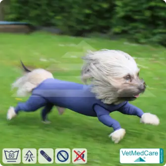 Hundebody Rüde mit Läufen | Ganzkörperbody speziell für den Rüden | VetMedCare® 17 Hundebody Rüde mit Läufen | Ganzkörperbody speziell für den Rüden | VetMedCare®