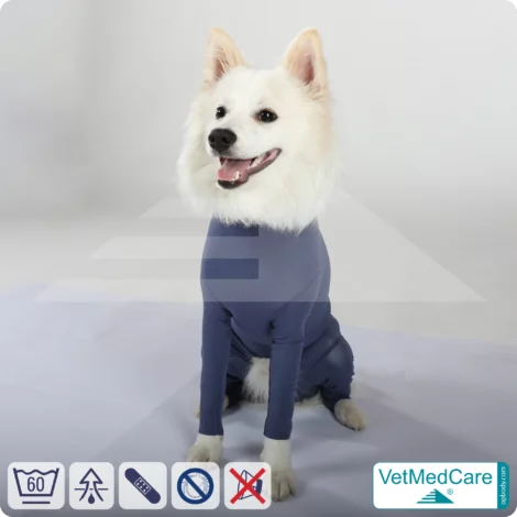 Hundebody Rüde mit Läufen | Ganzkörperbody speziell für den Rüden | VetMedCare® 11 hundebody beine indigoblue sitzend opbody 2000