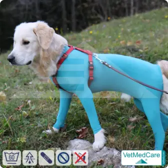 Hundebody Rüde mit Läufen | Ganzkörperbody speziell für den Rüden | VetMedCare® 14 Hundebody Rüde mit Läufen | Ganzkörperbody speziell für den Rüden | VetMedCare®