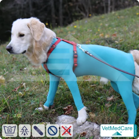 Hundebody Rüde mit Läufen | Ganzkörperbody speziell für den Rüden | VetMedCare® 14 Hundebody Rüde mit Läufen | Ganzkörperbody speziell für den Rüden | VetMedCare®