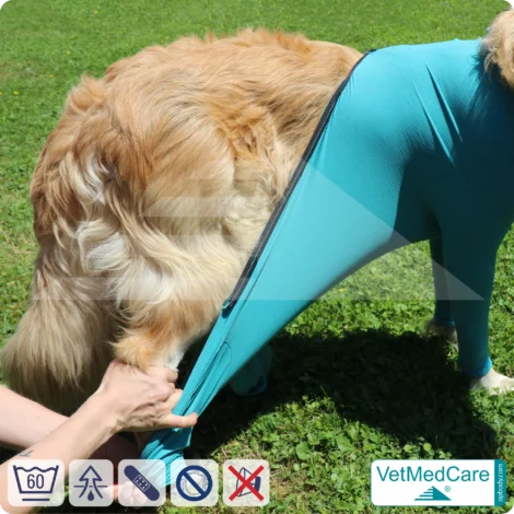 VetMedCare Hundebody mit Reißverschluss | OP-Schutzbody für Hunde nach Operation | Atmungsaktiver Wundschutz & Komfort 16 Hundebody mit Beinen + Reißverschluss | Hunde Body - Ganzkörperbody mit 4 Beinen | VetMedCare®