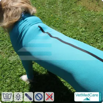 VetMedCare Hundebody mit Reißverschluss | OP-Schutzbody für Hunde nach Operation | Atmungsaktiver Wundschutz & Komfort 12 Hundebody mit Beinen + Reißverschluss | Hunde Body - Ganzkörperbody mit 4 Beinen | VetMedCare®
