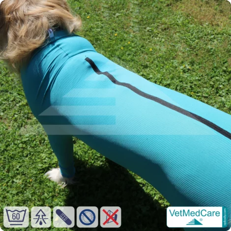 VetMedCare Hundebody mit Reißverschluss | OP-Schutzbody für Hunde nach Operation | Atmungsaktiver Wundschutz & Komfort 12 Hundebody mit Beinen + Reißverschluss | Hunde Body - Ganzkörperbody mit 4 Beinen | VetMedCare®