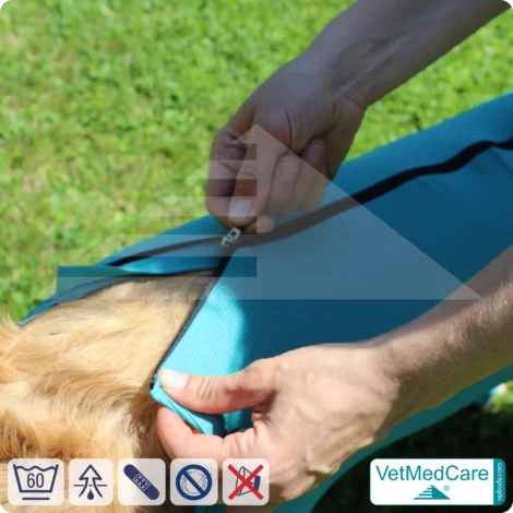 VetMedCare Hundebody mit Reißverschluss | OP-Schutzbody für Hunde nach Operation | Atmungsaktiver Wundschutz & Komfort 14 Hundebody mit Beinen + Reißverschluss | Hunde Body - Ganzkörperbody mit 4 Beinen | VetMedCare®