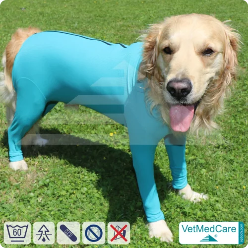 VetMedCare Hundebody mit Reißverschluss | OP-Schutzbody für Hunde nach Operation | Atmungsaktiver Wundschutz & Komfort