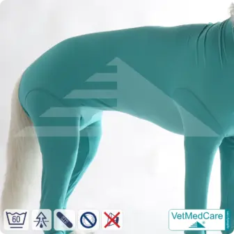 Hundebody für Hündin mit Läufen | Ganzkörperbody speziell für die Hündin | VetMedCare® 17 Hundebody für Hündin mit Läufen | Ganzkörperbody speziell für die Hündin | VetMedCare®