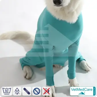 Hundebody für Hündin mit Läufen | Ganzkörperbody speziell für die Hündin | VetMedCare® 18 Hundebody für Hündin mit Läufen | Ganzkörperbody speziell für die Hündin | VetMedCare®