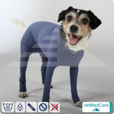 Hundebody für Hündin mit Läufen | Ganzkörperbody speziell für die Hündin | VetMedCare® 13 Hundebody für Hündin mit Läufen | Ganzkörperbody speziell für die Hündin | VetMedCare®