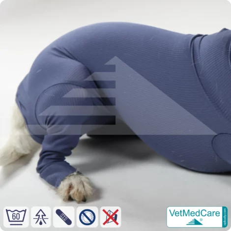 Hundebody für Hündin mit Läufen | Ganzkörperbody speziell für die Hündin | VetMedCare® 19 Hundebody für Hündin mit Läufen | Ganzkörperbody speziell für die Hündin | VetMedCare®