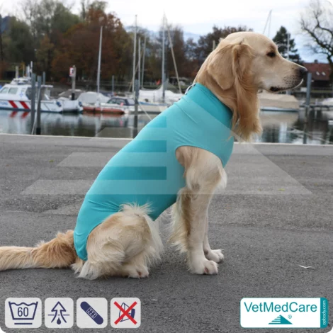 Hund OP Body - Hund Body Female | speziell für die Hündin | VetMedCare® 15 Hund OP Hundebody Female | Body speziell für die Hündin | VetMedCare®